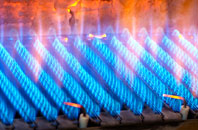 Buckden gas fired boilers